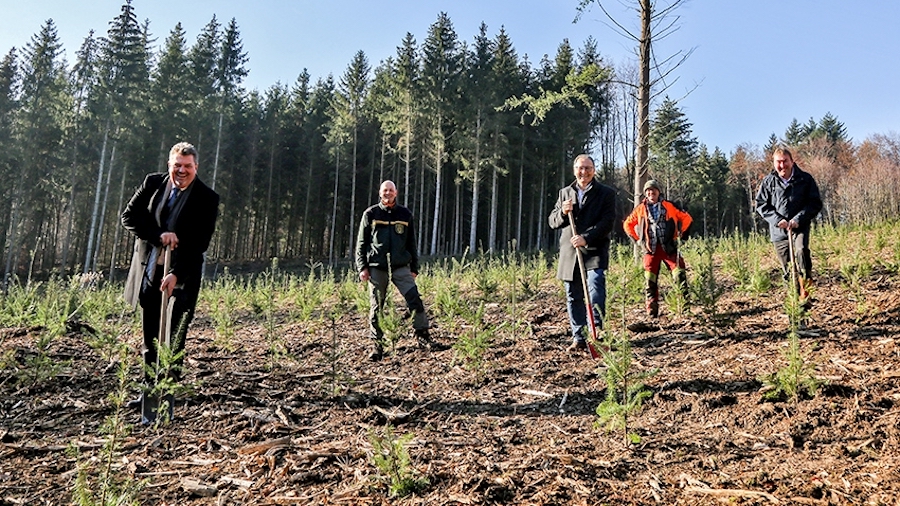 E.G.O. pflanzt für jeden Mitarbeiter einen Baum